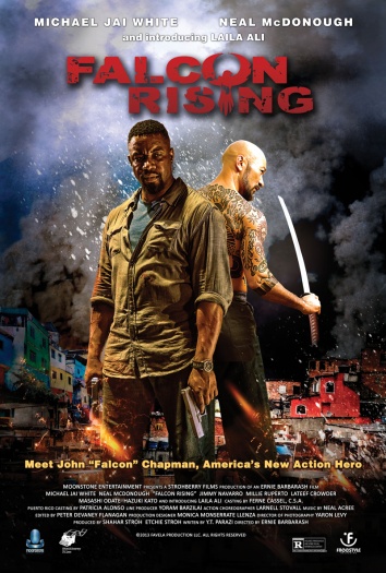  Falcon Rising (2014) Hindi ORG Dual Audio BluRay | 720p | 480p | ESubs