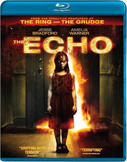  The Echo (2008) Hindi ORG Dual Audio BluRay | 1080p | 720p | 480p | ESubs
