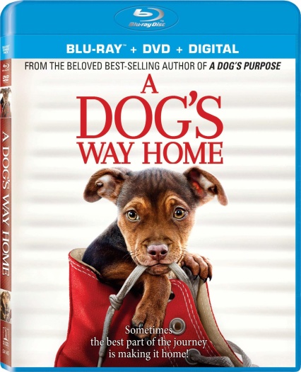  A Dog’s Way Home (2019) Hindi ORG Dual Audio BluRay | 1080p | 720p | 480p | ESubs A Dog’s Way Home (2019) Hindi ORG Dual Audio BluRay | 1080p | 720p | 480p | ESubs