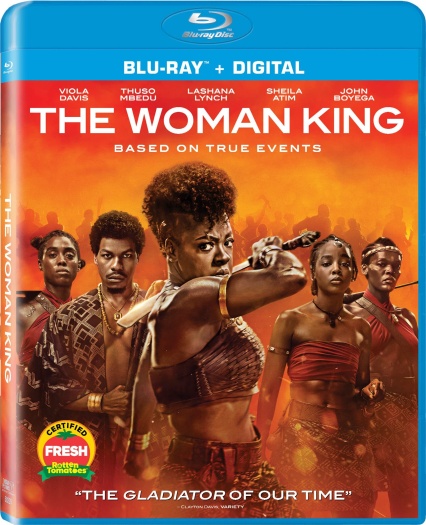  The Woman King (2022) Hindi ORG Dual Audio BluRay | 1080p | 720p | 480p | ESubs