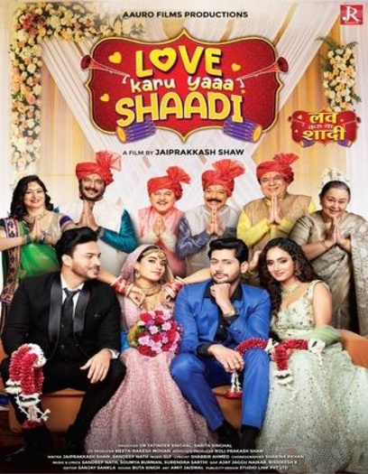  Love Karu Yaa Shaadi (2025) Hindi (Cleaned) Full Movie HDTC | 1080p | 720p | 480p